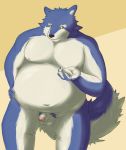  2012 anthro balls belly canid canine canis flaccid genitals hi_res humanoid_hands kemono male mammal moobs nipples overweight overweight_male penis simple_background solo wdh3905 wolf 