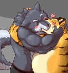  &lt;3 2015 anthro barazoku belly blush canid canine canis clothing duo eyes_closed felid hi_res hug humanoid_hands kemono kissing male male/male mammal muscular overweight overweight_male pantherine simple_background tiger underwear wdh3905 wolf 