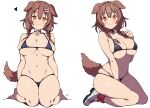  1girl :3 animal_ears batta_16-sei bikini black_bikini blush bone_hair_ornament braid breasts brown_hair commentary_request dog_ears dog_girl dog_tail hair_between_eyes hair_ornament highres hololive inugami_korone large_breasts long_hair looking_at_viewer navel orange_eyes solo swimsuit tail twin_braids virtual_youtuber 