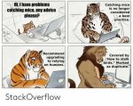  ambiguous_gender anthro avoid_posting computer domestic_cat english_text felid feline felis humor inanna-nakano leopard lion mammal pantherine stackoverflow text tiger 