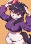 acorn_furry anthro black_hair breasts canid canine canis clothed clothing domestic_dog female floppy_ears hair hi_res hoodie mammal midriff orange_background simple_background smile solo tail thong topwear underwear wide_hips