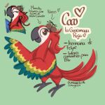  ara_(genus) avian bird blue_sky_studios coco_the_scarlet_macaw fan_character female feral food fruit heart_symbol hi_res ibowserswife macaw model_sheet neotropical_parrot nut_(fruit) parrot plant rio_(series) scarlet_macaw solo spanish_text text true_parrot 