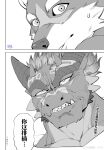  1500jiangbao absurd_res anthro baki_the_grappler canid canine chinese_text countershade_face countershade_fur countershading dragon eyebrows fur hi_res horn male mammal monochrome mythological_creature mythological_scalie mythology scalie solo speech_bubble text yujiro_hanma 
