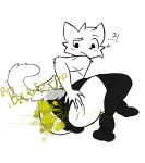 anthro blush boy_kisser_(meme) bulge clothing domestic_cat fart fart_cloud fart_fetish felid feline felis femboy kid_yoongi legwear looking_back male mammal meme panties solo thigh_highs underwear