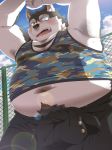  2020 anthro belly blush bodily_fluids bottomwear canid canine canis clothing domestic_dog hi_res humanoid_hands husky kemono male mammal navel nikiciy nordic_sled_dog outside overweight overweight_male pants shirt solo spitz sweat topwear 