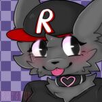  1:1 anthro apricot_(apricotisagirl) black_clothing black_shirt black_t-shirt black_topwear blush canid canine canis clothing collar female female/female fur grey_body grey_fur hat headgear headwear heart_symbol hi_res looking_at_viewer mammal red_and_black_hat roblox roblox_logo rvfspup shirt silly silly_face solo t-shirt tongue topwear wolf 
