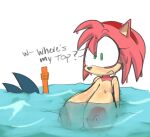  amy_rose anthro big_breasts breasts clothing duo eulipotyphlan female hedgehog huge_breasts lewdmcgill male mammal nipples sega sonic_the_hedgehog sonic_the_hedgehog_(series) wardrobe_malfunction water wet 
