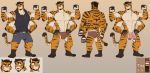  2020 4_arms anthro barefoot beard bob15 bottomwear bulge clothing eyebrows facial_hair felid flexing hoodie humanoid_hands juniorjosi male mammal model_sheet multi_arm multi_limb multifur muscular muscular_male nude pantherine pawpads raised_arm raised_eyebrow shorts smug solo stripes tiger topwear underwear vest 