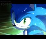  1boy animal_ears blue_fur closed_mouth derivative_work green_eyes ground hedgehog hedgehog_ears isa-415810 korean_commentary letterboxed looking_at_viewer male_focus mixed-language_commentary screencap_redraw smile snout sonic sonic_the_hedgehog sonic_x water_drop wet 