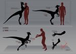  &lt;3 claws delta.dynamics digitigrade dinosaur dromaeosaurid female feral german_text gradient_background happy height_chart hi_res hug human long_tail male mammal model_sheet nude reptile running scalie semi-anthro silhouette simple_background smile text theropod translated 