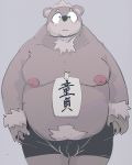  2020 4:5 anthro belly bulge clothing dumdum hi_res humanoid_hands kemono male mammal moobs nipples overweight overweight_male simple_background solo underwear ursid 