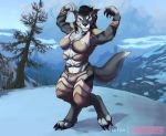  2020 anthro armor blizzard_entertainment breasts canid canine canis conditional_dnp female flexing mammal multi_breast nakoo snow video_games warcraft were werecanid wolf worgen 