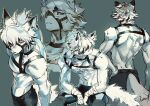  1boy absurdres animal_ear_fluff animal_ears back black_choker black_hair black_pants body_fur chest_harness choker closed_mouth collarbone commentary_request eyepatch facing_away from_above from_behind frown furry furry_male grey_background hair_between_eyes harness highres looking_at_viewer looking_to_the_side male_focus multicolored_hair multiple_views muzzle one_eye_covered pants parted_lips pectorals red_eyes sammy_(freezingsammy) short_hair simple_background standing streaked_hair tail topless_male upper_body von_lycaon white_fur white_hair wolf_boy wolf_ears wolf_tail zenless_zone_zero 