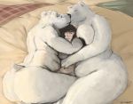  absurd_res anthro bear_hug big_breasts big_butt breasts butt doctordj female female/female female_on_human group hi_res huge_butt human human_on_anthro interspecies kissing larger_female lying male male/female male_on_anthro mammal nude on_side polar_bear size_difference slightly_chubby smaller_human smaller_male thick_thighs ursid ursine 