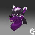 absurd_res anthro canid canine canis domestic_dog fur gradient_background headshot_portrait hi_res hybrid looking_at_viewer male male_anthro mammal mohawk piercing portrait purple_body purple_fur simple_background solo thekinkybear tongue tongue_out wolf