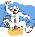  anal anthro balls black_nose brian_griffin canine cigarette collar cum dog duo family_guy gay hands-free hindpaw licking male mammal navel orgasm pawpads paws penis put sheath smile smoking tongue tongue_out 
