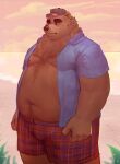2024 absurd_res anthro beach bear belly big_belly brown_body brown_fur clothed clothing cloud fur hi_res humanoid_hands male mammal open_clothing open_shirt open_topwear overweight overweight_male seaside shirt solo toicobis topwear underwear water