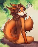 elronya fan_character female fluffy fluffy_tail mammal plant rodent sciurid sitting solo tail tree tree_squirrel