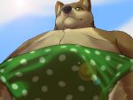 anthro belly bulge canid canine canis clothing fox hybrid light looking_at_viewer looking_down low-angle_view male mammal polka_dot_underwear shadow skaifox solo sunlight underwear wolf