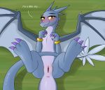  blush dragon female hi_res june_(dragon) pencil_bolt solo vaginal wings 