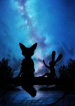  2016 anthro canid canine clothed clothing detailed_background disney duo fox fur gesture judy_hopps kippycube lagomorph leporid mammal meteor_shower nick_wilde plant pointing rabbit red_fox silhouette sitting sky star starry_sky water zootopia 