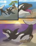 animal_genitalia animal_pussy anus bestiality black_body bodily_fluids cetacean cetacean_genitalia cetacean_pussy comic cum cum_in_pussy cum_inside day detailed_background dolphin duo erection female female_feral feral fin genital_fluids genitals half_naked hand_on_snout happy heart_symbol hi_res human human_on_feral humanoid_genitalia humanoid_penis interspecies island larger_female larger_feral licking looking_down looking_up male male/female male_on_feral mammal marine oceanic_dolphin open_mouth oral orca palm_tree penile penis penis_lick plant purple_eyes pussy raised_tail sea sex sharp_teeth size_difference strohdelfin sunset tail teeth tongue tongue_out toothed_whale tree water white_body