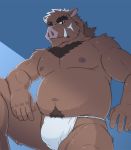  2020 anthro asian_clothing belly blue_background brown_body brown_fur bulge clothing east_asian_clothing fundoshi fur humanoid_hands jacklantern_11 japanese_clothing kemono male mammal moobs nipples overweight overweight_male simple_background solo suid suina sus_(pig) underwear wild_boar 