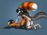  4:3 ailurid anthro anthro_on_anthro anthro_penetrated anthro_penetrating anthro_penetrating_anthro ass_up black-kitten black_hair butt canid canine canis duo fur genitals hair hi_res male male_penetrating mammal nude open_mouth orange_body orange_fur orange_tail pawpads penetration penile penile_penetration penis pink_pawpads red_panda sex tongue vaginal vaginal_penetration wolf 