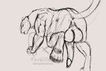 animal_genitalia animal_penis anus balls big_balls big_penis black_body black_fur daddy_kink dominant dominant_male feet felid feline feline_genitalia feline_penis feral feral_only feralclaw foot_focus from_behind_position fur genitals hi_res huge_balls huge_penis looking_at_viewer looking_back looking_pleasured male mammal muscular muscular_feral muscular_male panthera pantherine paws penile_spines penis presenting presenting_anus presenting_balls presenting_penis quadruped rear_view sex size_difference size_play sketch solo tail tail_anus the_shadow_of_light ubaya