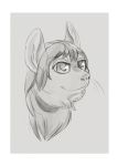  anthro border chinchilla chinchillid evelin_(character) female greyscale hair headshot_portrait inner_ear_fluff kadeki mammal monochrome portrait rodent short_hair simple_background sketch smile snout solo tuft whiskers white_border 