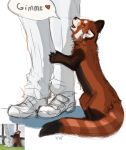  2020 ailurid brown_body brown_fur digital_media_(artwork) duo feral flashlioness fur human mammal red_panda 
