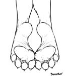  4_toes ambiguous_gender bunnyfeet canid canine claws feet foot_focus humanoid_feet mammal monochrome pawpads soles toe_claws toes 