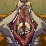  1:1 ambiguous_gender arokha_(human) black_nose bodily_fluids brown_body brown_fur canid canine cheek_tuft chest_tuft colored digital_media_(artwork) drooling duo facial_tuft fangs feral foot_focus fox fur gaping_mouth grass human jym mammal micro mouth_shot multicolored_body multicolored_fur open_mouth oral_vore orange_body orange_ears orange_fur palate saliva saliva_on_tongue shaded soft_vore solo_focus swallowing throat tuft velociawesome vore white_body white_fur white_tuft 