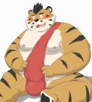  2020 anthro asian_clothing belly blush clothing east_asian_clothing felid fundoshi hi_res hon55728 japanese_clothing kemono male mammal moobs nipples overweight overweight_male pantherine simple_background sitting solo tiger underwear white_background 