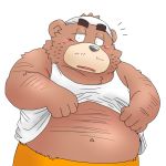  1:1 2019 anthro brown_body brown_fur clothed clothing fur humanoid_hands kemono male mammal open_shirt overweight overweight_male shirt simple_background solo topwear toshi_(artist) ursid white_background 