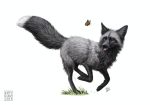  2019 arthropod black_body black_fur black_nose butterfly canid canine dipstick_tail duo feral fluffy fluffy_tail fox fur grass grey_body grey_fur inner_ear_fluff insect kippycube lepidopteran mammal multicolored_tail red_fox silver_fox simple_background tongue tongue_out tuft whiskers white_background white_body white_fur 