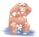  2019 anthro bathing belly brown_body brown_fur convenient_censorship fur humanoid_hands kemono male mammal moobs nipples overweight overweight_male sitting solo toshi_(artist) ursid wet 