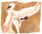  2005 anatid anseriform anserinae anthro avian beak bird breasts claws feathers female looking_at_viewer membrane_(anatomy) non-mammal_breasts raised_leg solo swan uaykan webbed_feet white_body white_feathers wings 