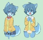  2019 anthro blue_body blue_eyes blue_fur blue_hair blush bodily_fluids bottomwear canid canine canis clothing collar diaper domestic_dog embarrassed fur genital_fluids hair husky jacket looking_at_viewer male mammal nordic_sled_dog ruugiaruu shirt shorts solo spitz topwear urine wet_diaper wetting young 