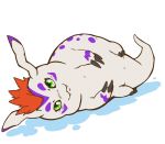  alpha_channel blush claws digimon digimon_(species) feral gomamon green_eyes hair lying male markings mohawk_(hairstyle) orange_hair purple_markings simple_background the-plush-butt transparent_background wet white_body 