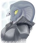  2018 ambiguous_gender anthro belly_scales blep blue_body blue_scales breasts bust_portrait clothed clothing coat cobra derangedrake duo female feral forked_tongue hi_res jacket looking_at_viewer markings naiteir_(derangedrake) non-mammal_breasts pink_markings portrait reptile scales scalie side_view simple_background slit_pupils snake snake_hood snout tongue tongue_out topwear white_background white_body white_scales yellow_sclera 