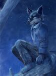 2024 akatan_art anthro blue_theme bottomwear canid cheek_tuft clothed clothing dated facial_tuft hi_res male mammal mouth_closed night pants signature sitting sky solo star tail topwear tuft whiskers
