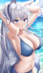  1girl absurdres animal_ears arms_up azur_lane bikini blue_bikini blue_eyes blush breasts cleavage day fox_ears fox_girl fox_tail grey_hair highres jyu-so large_breasts long_hair looking_at_viewer outdoors parted_lips revision shinano_(azur_lane) solo stomach swimsuit tail water wet 