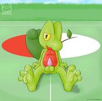  2008 anthro balls cum cum_on_feet erection foot_focus green_body green_eyes hindpaw male nintendo nude paws penis pok&#233;mon pokemon precum presenting presenting_feet presenting_penis raukue sheath sitting solo treecko video_games 