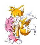 absurd_res age_difference amy_rose anthro canid canine clothing duo ejaculation eulipotyphlan female footwear fox genitals hedgehog hi_res kissing male male/female mammal meyk miles_prower older_female penis penis_kissing sega socks sonic_the_hedgehog_(series) younger_male