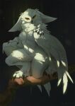 2024 anthro avian beak bird black_claws claws feathers female foot_tuft fur hioshiru kneeling neck_tuft on_one_knee owl solo tuft white_body white_ears white_feathers white_fur wings yellow_eyes