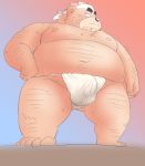  2020 anthro asian_clothing belly brown_body brown_fur bulge clothing east_asian_clothing fundoshi fur japanese_clothing kemono male mammal moobs navel nipples overweight overweight_male simple_background solo toshi_(artist) underwear ursid 