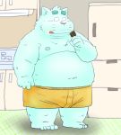  2020 anthro belly blue_body blue_fur bulge canid canine clothing dessert eating food fur ice_cream kemono male mammal moobs nipples overweight overweight_male solo tongue tongue_out toshi_(artist) underwear 