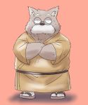  2020 anthro canid canine canis clothing eyewear facial_hair footwear glasses kemono male mammal mustache overweight overweight_male robe sandals simple_background solo toshi_(artist) wolf 