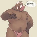  2020 ailurid anthro belly bulge clothing english_text face_mask facemask hi_res humanoid_hands male mammal minedoo moobs navel nipples overweight overweight_male red_panda simple_background solo text underwear underwear_on_head 
